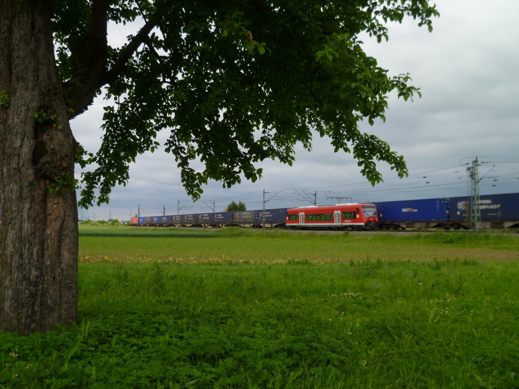 Der 650 118 wirkt wie erdrckt neben dem Gterzug, hier zusehen am 14.06.13 in Neu-Ulm.