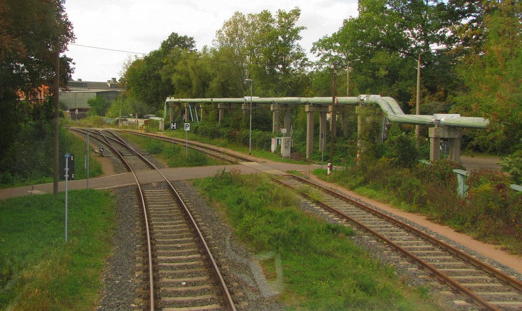 Der Anschluss der Fahrzeugtechnik Dessau in Fahrtrichtung Dessau; 14.09.2011
