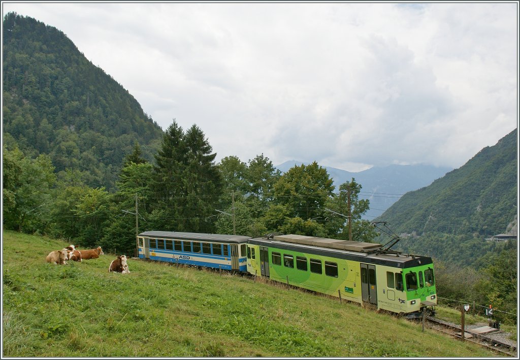Der ASD Regionalzug 449 hat soeben die Station Exergillod verlassen und fährt nun weiter Richtung Aigle.
5. August 2011