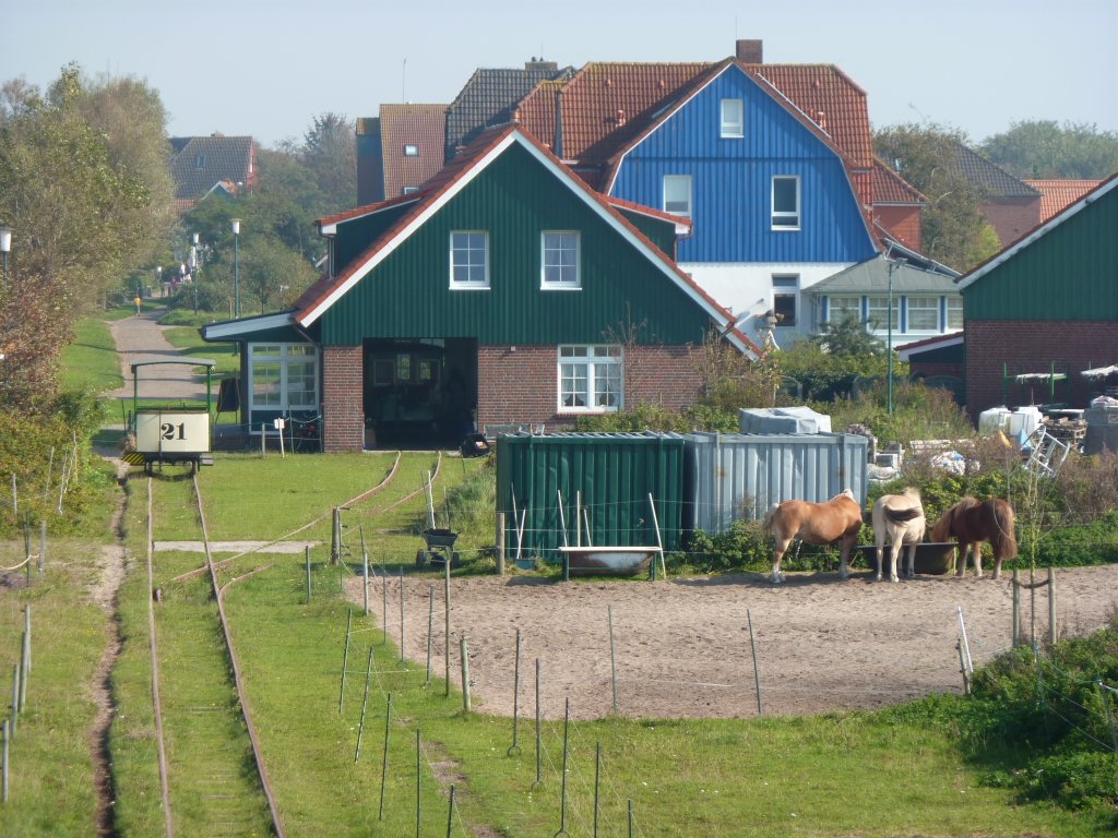 Der Bahnhof der Pferdebahn Spiekeroog am 2.10.2011. Eines der Pferde wird gleich den Wagen zum Weststrand ziehen.