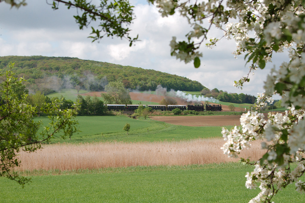 Der Dampfzug zum diesjrigen Oldtimertreffen in Ernstbrunn war mit der 30.33 und 93.1420 bespannt. Zu sehen ist der Zug in der bekannten Kurve kurz nach dem Bahnhof Wetzleinsdorf. (05.05.2013)