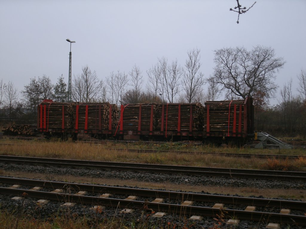 Der einzige Gterwagen der,am 18.November 2012,in Bad Segeberg stand war der mit Holz beladene Roos-t 31 80 3525 579-9.