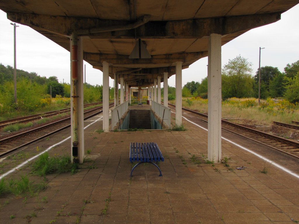 Der einzige noch vorhandene Bahnsteig in Braunsbedra; 07.09.2010