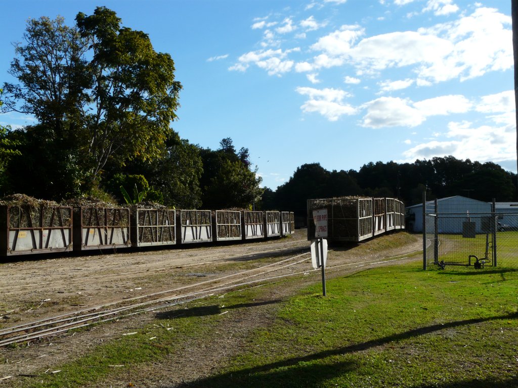 Der Gterbahnhof von Finch Hatton am 6.7.2009. In Finch Hatton endet das Netz der Zuckerohrbahn, daher standen hier besonders viele Wagen. Welchen Sinn dieser Ablaufberg hat wei ich nicht, da sowieso alle Wagen das gleiche Ziel haben.