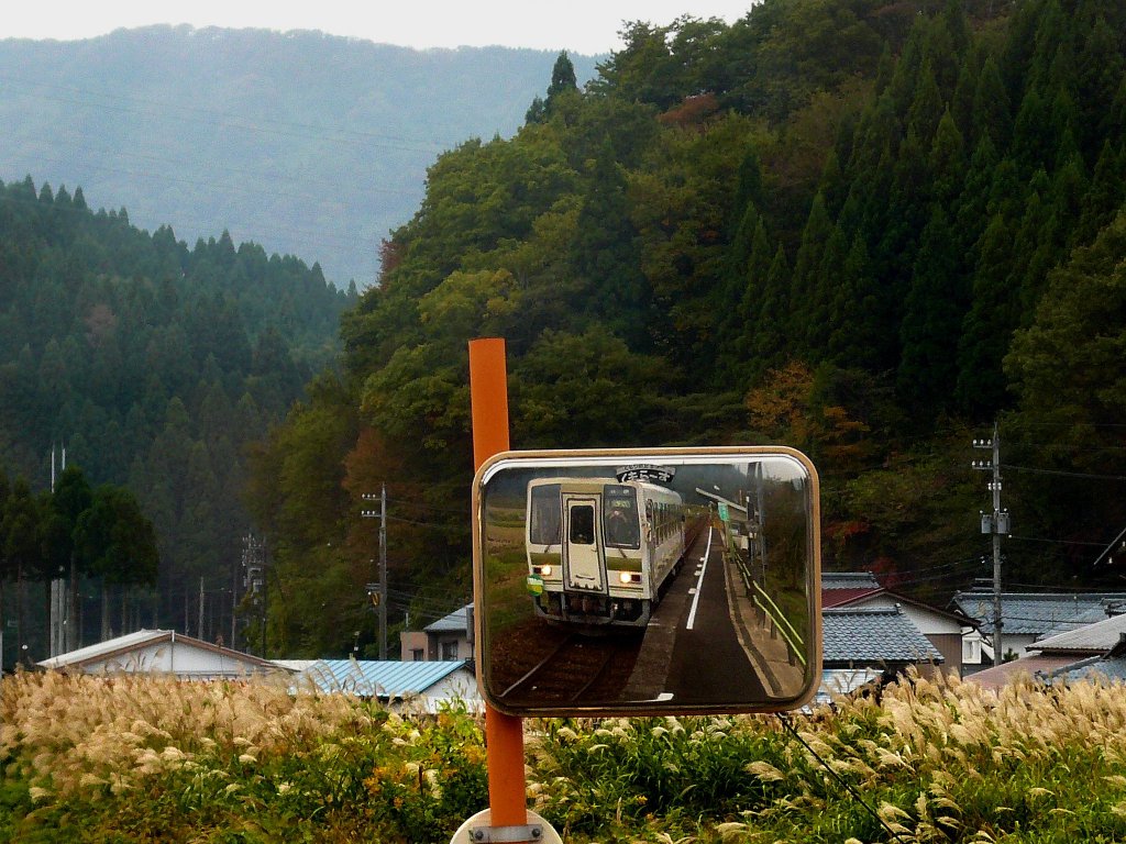 Der KIHA 120-202 der Kuzuryû-Linie im Spiegel: Umgeben von prachtvollen Wäldern und silbrig glitzerndem Susuki (Miscanthus)-Gras hält der Wagen in Echizen Ômiya, 3.November 2008.