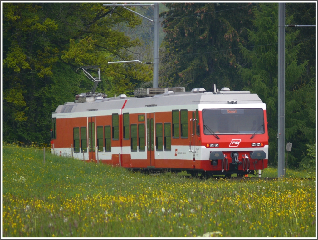 Der in Landquart bei der RhB revidierte BDeh 3/6 25 neu in den Farben der Appenzeller Bahnen bei der gestrigen Probefahrt unterhalb von Heiden. (19.06.2010)