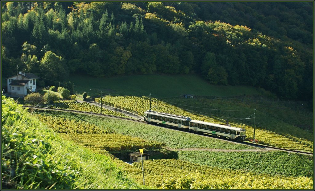 Der LEB  Ersatzzug  auf der ASD oberhalb von Aigle. Herbest 2010