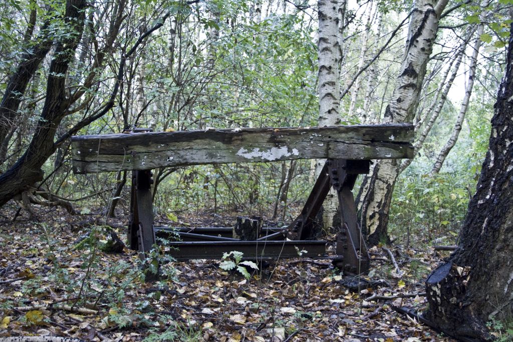Der Mensch hats genommen, die Natur holt es sich zurck - Ein einsamer Prellbock im ehemaligen Rangierbahnhof Krusenbusch.
Gleise liegen hier seit ber 30 Jahren nicht mehr, nur noch Schotter und ein paar Fundamente fanden wir am 19.10.2010.
