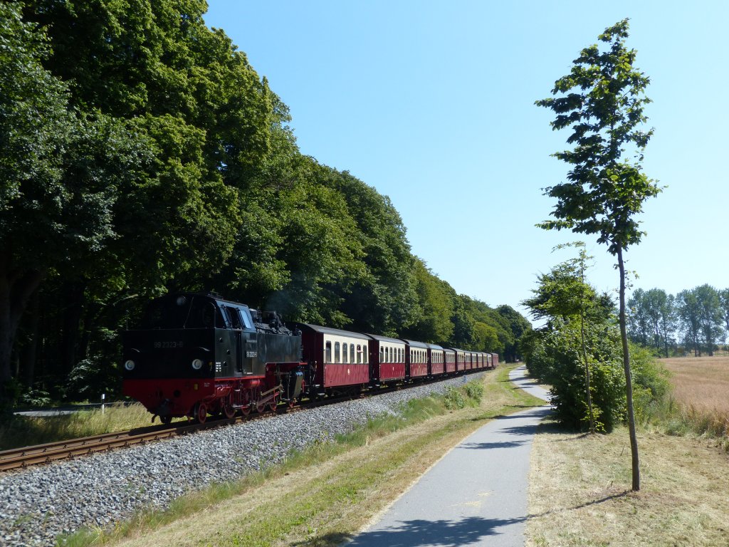 Der Molli neben dem Radweg zwischen Heiligendamm und Bad Doberan, hier auf dem Weg nach Khlungsborn. 23.7.2013