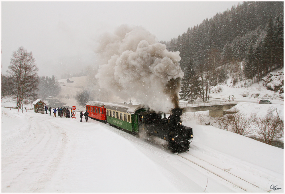 Der nchste Programmpunkt der “The Railway Touring Company” war am 7.2.2012 der  Winterdampf auf der Murtalbahn  - Bespannt mit der U 11  Mauterndorf  (Baujahr 1894) ging es von Murau nach Tamsweg. 
Hintering 7.2.2012

