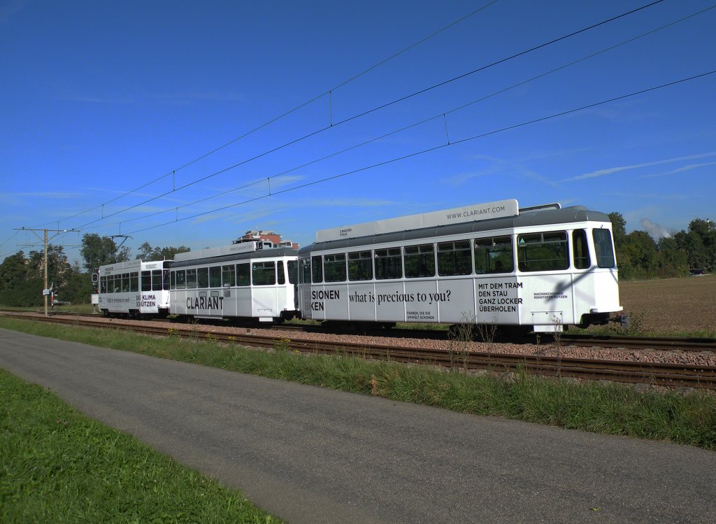 Der neue Werbezug mit dem Be 4/4 493, dem B4S 1501 und dem B 1460 auf der Linie 14 in voller Fahrt Richtung Haltestelle Rothausstrasse. Die Aufnahme stammt vom 28.09.2012.