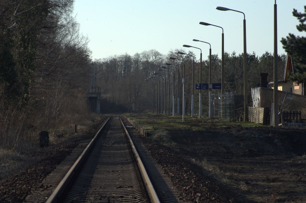 Der   nrdliche Bahnsteig des Haltepunktes Radebeul - Zitschewig ,  trumt  am 25.03.12 gegen 18:30 Uhr in der Abendsonne...
Die Oberleitung ist schon demontiert, bald werden die Umbauarbeiten beginnen.....  