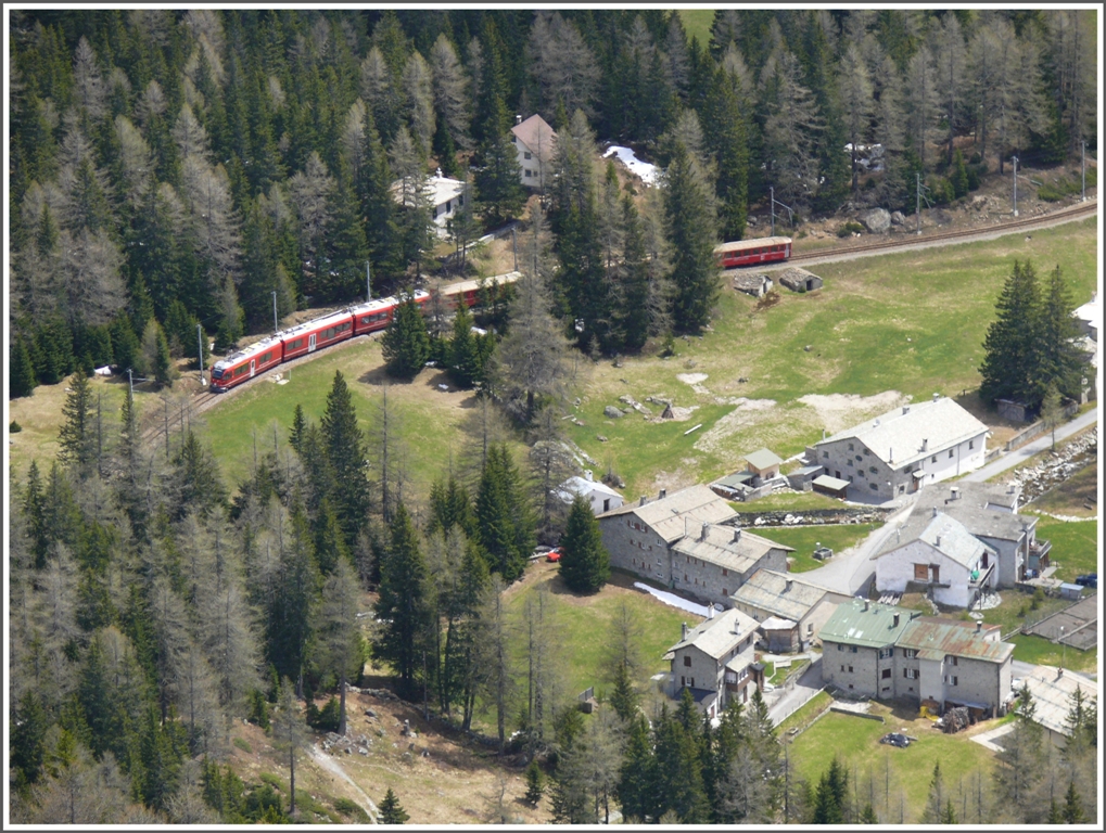 Der R1652 gezogen von einem Allegra hat die Station Cavaglia verlassen und steigt jetzt in 15 Minuten ber Stablini nach Alp Grm hinauf. (20.05.2010)