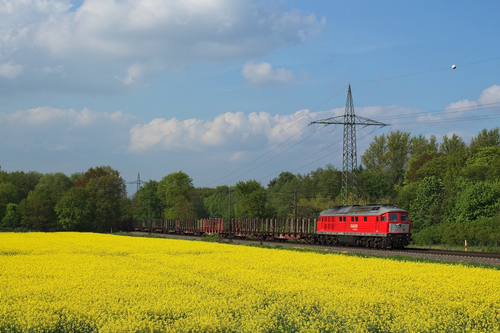 Der Rapsanbau verschaffte der Stelle in Lintorf zusätzlich Attraktivität. Die 232 905 bringt am 7.5.2012 ein paar leere Wagen Richtung Süden