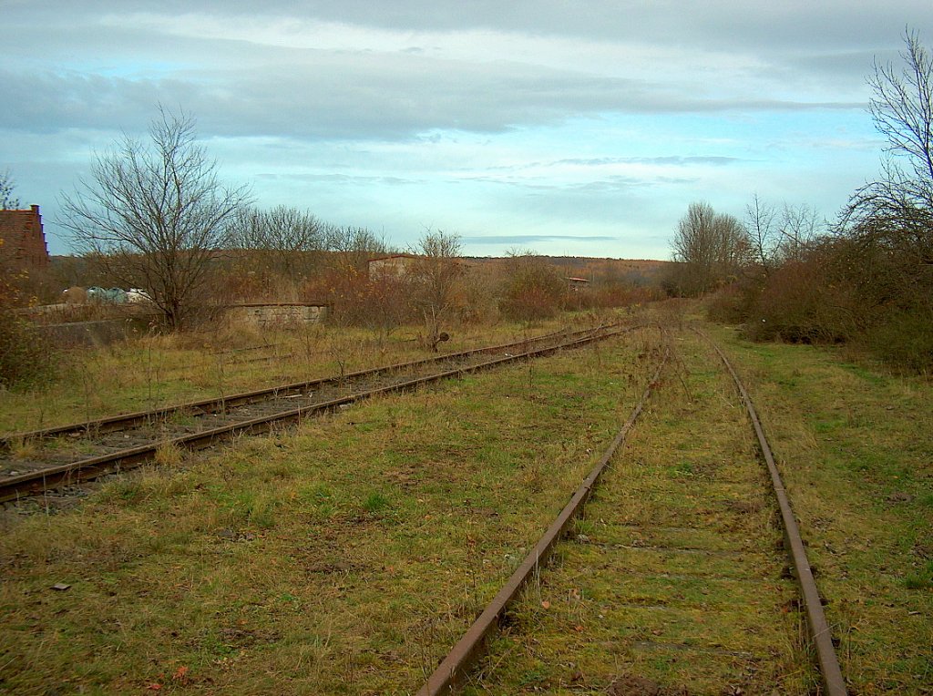 Der Rest der noch vorhandenen Gleisanlagen im Bf Bad Bibra; 15.11.2009