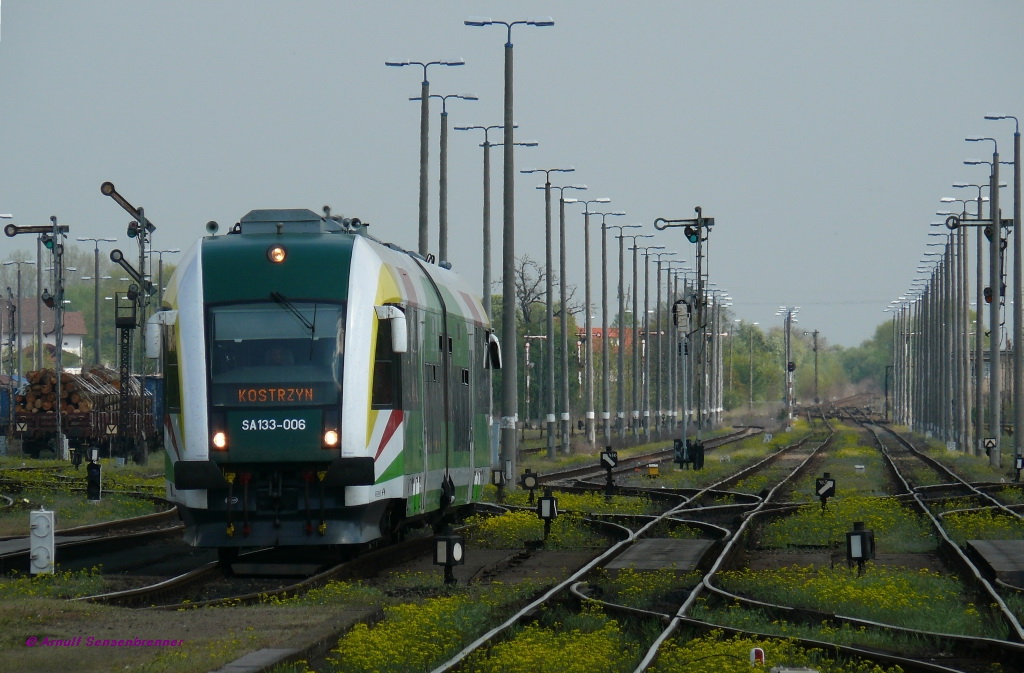 Der SA-133-006 der Lubuska Kolej Regionalna LKR (Lebuser Regionalbahn) aus Richtung Gorzow (Landsberg) kommend bei der Einfahrt in Kostrzyn (Kstrin).

05/10