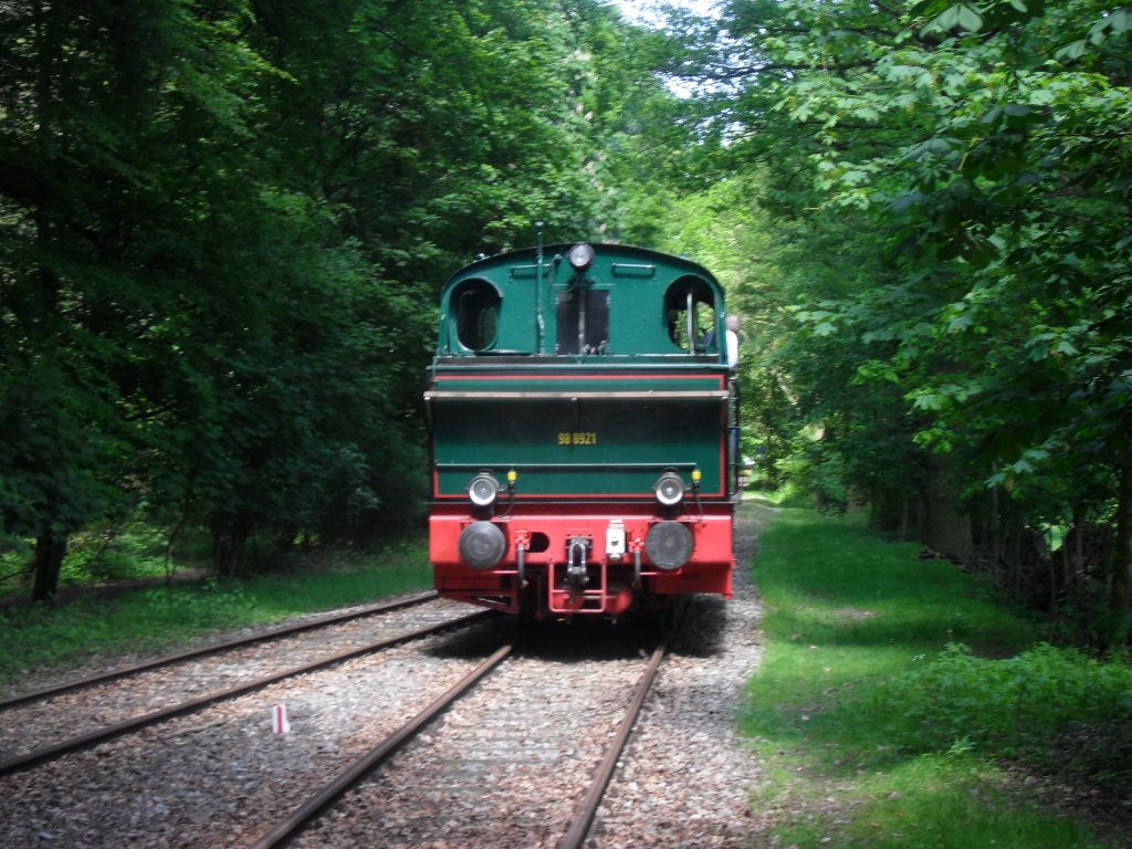 Der  Schluff  gerade beim Umsetzen auf dem Hlser Berg.