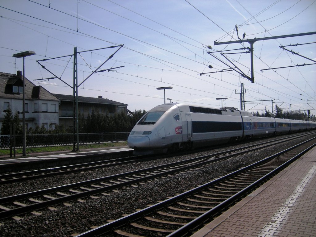Der TGV 9553 durchfhrt Gernsheim auf der Fahrt nach Frankfurt(Main)Hbf am 09.04.2010