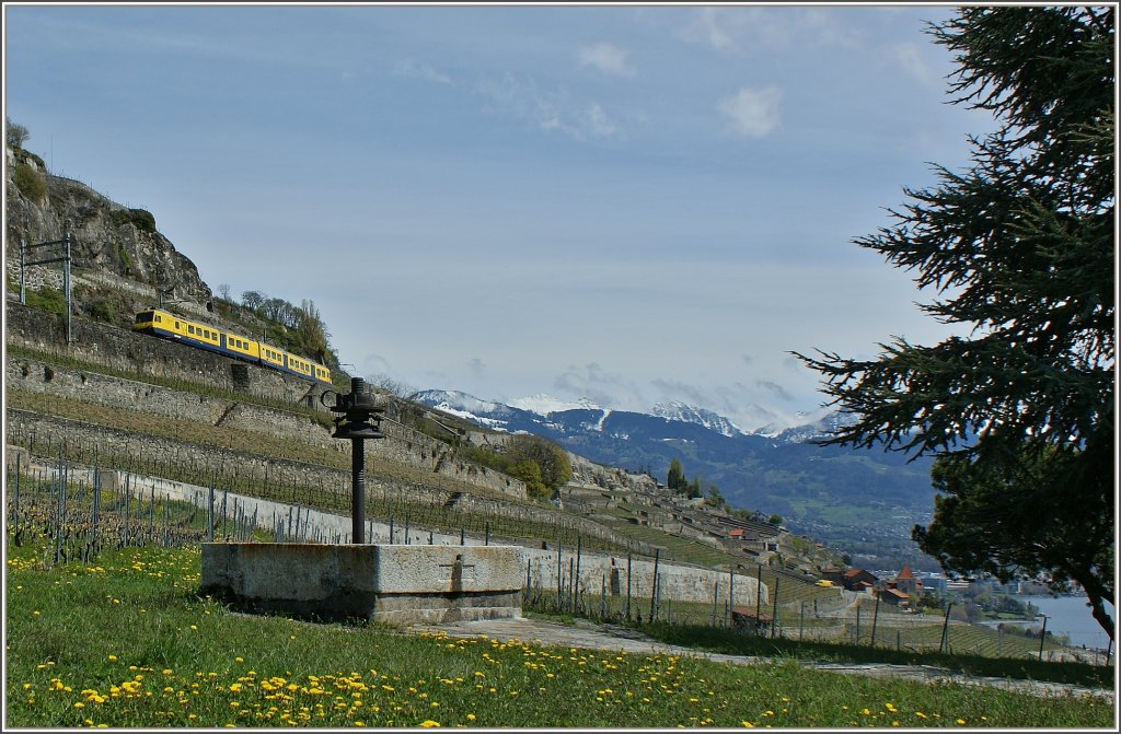 Der Train de Vignes unterwegs zwischen Puidoux-Chexbres nach Vevey.
(23.04.2012)