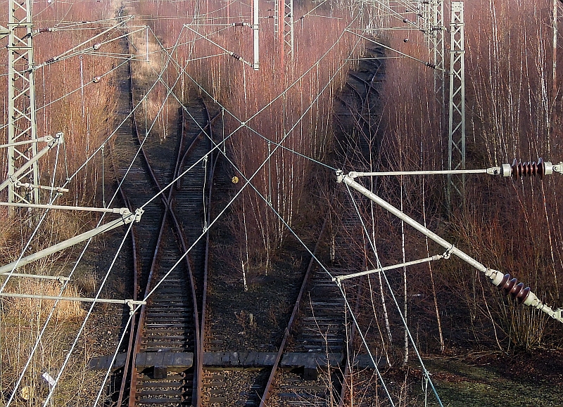 Der traurige Rest: nach der Inbetriebnahme des Rangierbahnhofs Maschen Ende der 70er Jahre wird Hamburg-Wilhelmsburg nur noch zum Abstellen von Zgen und Lokomotoven gebraucht - wenn berhaupt. Die Birken haben das Kommando bernommen. 25.1.2012