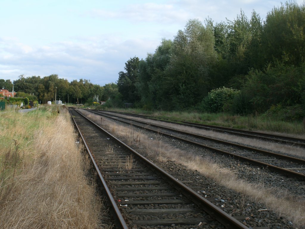 Der bergabebahnhof Lgerdorf in Richtung Zementwerk am 23.September 2012.Der Bahnhof verfgt drei Gleise und vier Weichen.Vorrangig beladene Zementzge fahren von hier los,aber hin und wieder verirrt sich auch mal ein Sonderzug hierher.  