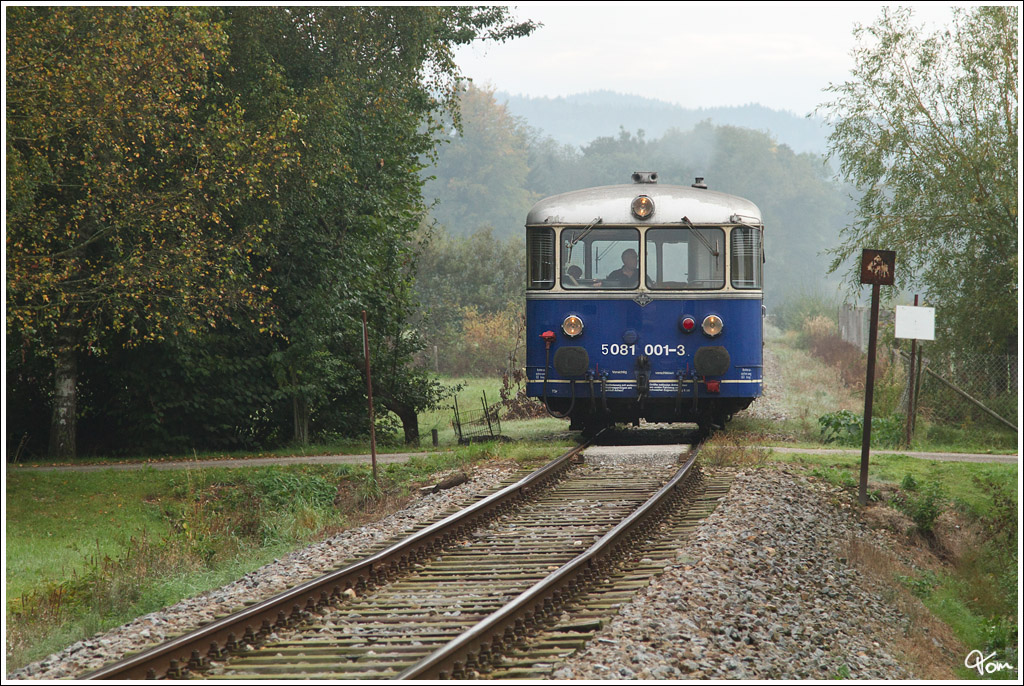 Der Uerdinger Schienenbus 5081 001 f�hrt als Fotozug auf der Museumsstrecke von Ampflwang nach Timelkam und wieder retour.
Wolfsdoppl 29.9.2012