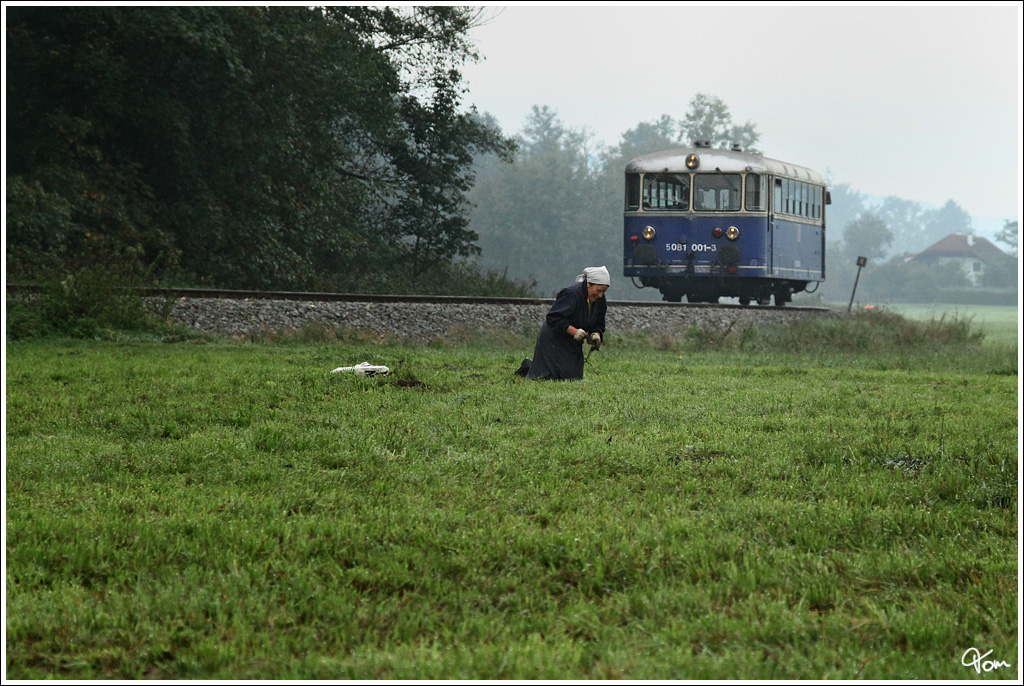 Der Uerdinger Schienenbus 5081 001 fhrt als Fotozug auf der Museumsstrecke von Ampflwang nach Timelkam und wieder retour. 
Wolfsdoppl 29.9.2012