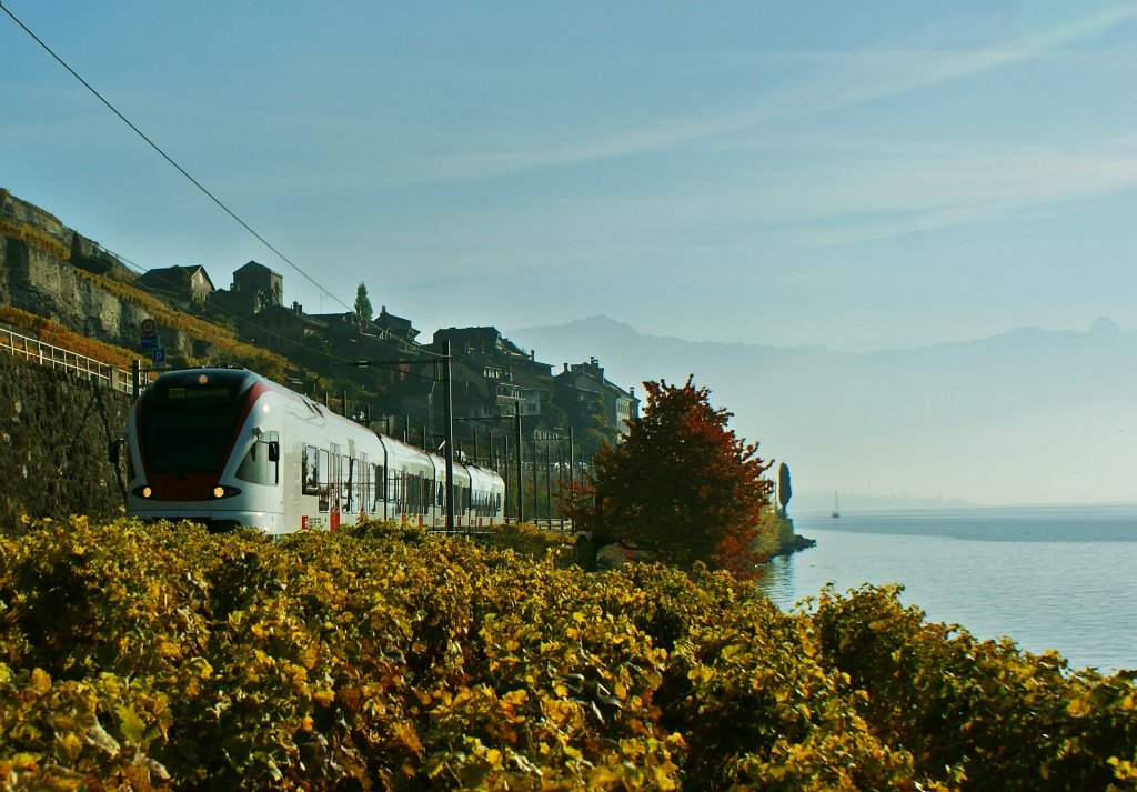 Der Versuch einer Gegenlichtaufnahme in den Weinbergen von St-Saphorin, zeigt einen Flirt auf der Fahrt in Richtung Lausanne.
(29.10.2010)