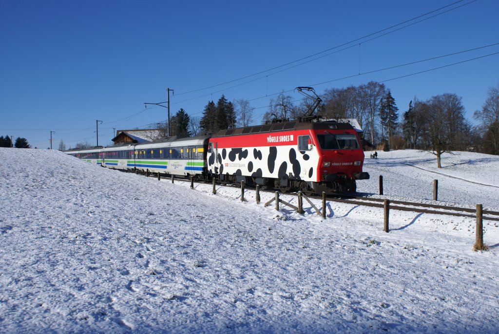 Der Voralpen-Express mit der Re 456 094-2 fhrt am 3.1.10 von Samstagern Richtung Wollerau.