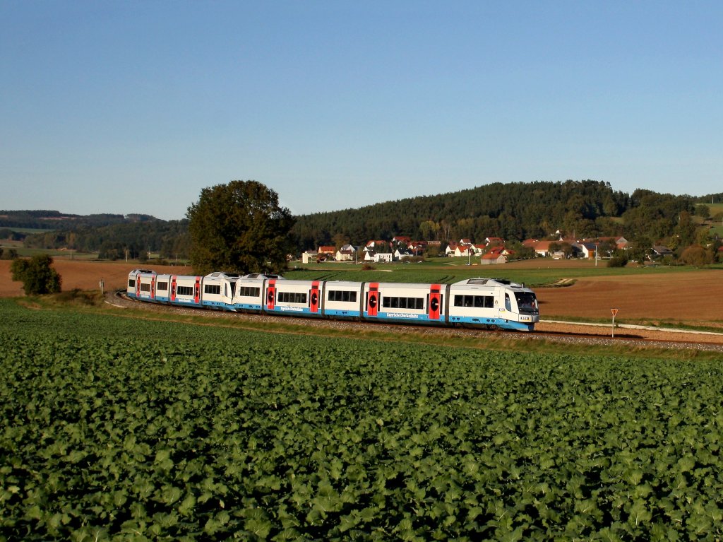 Der VT 110 und der VT 113 als Sonderzug nach Amberg am 15.10.2011 unterwegs bei Mimbach.