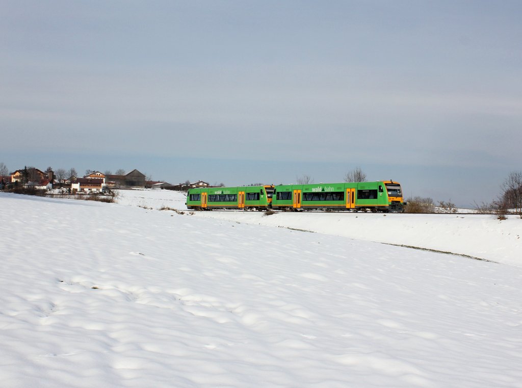 Der VT 17 als RB nach Bayerisch Eisenstein am 11.02.2013 unterwegs bei Triefenried.