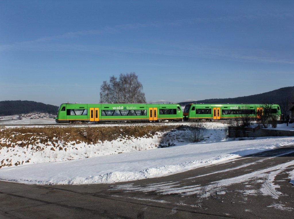 Der VT 20 als RB nach Plattling am 11.02.2013 unterwegs bei Zachenberg.