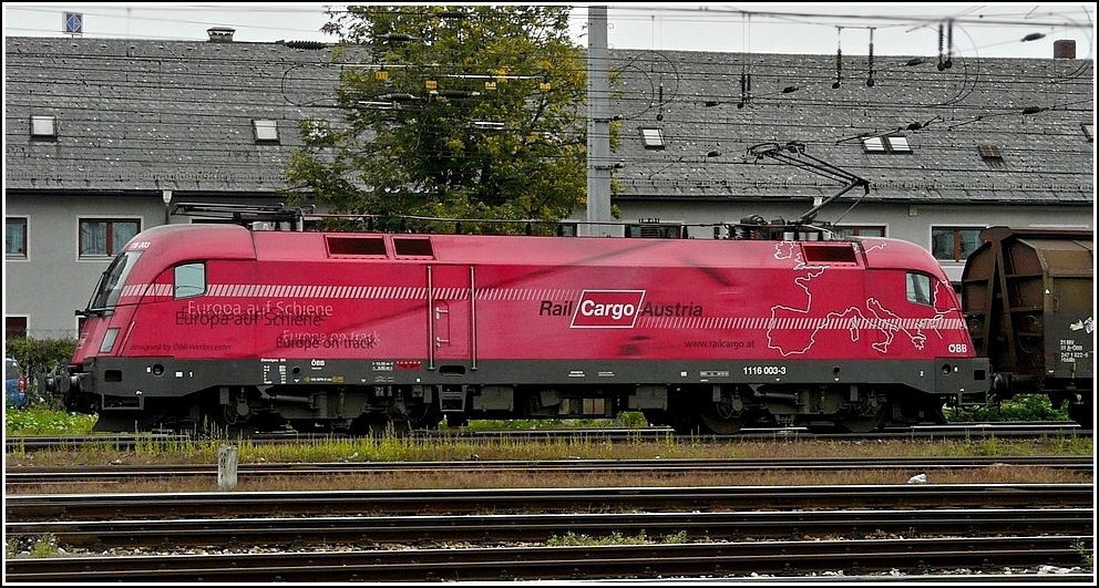 Der Werbetaurus 1116 003-3 durchfhrt am 14.09.2010 mit einem Gterzug den Bahnhof von Linz. (Jeanny)