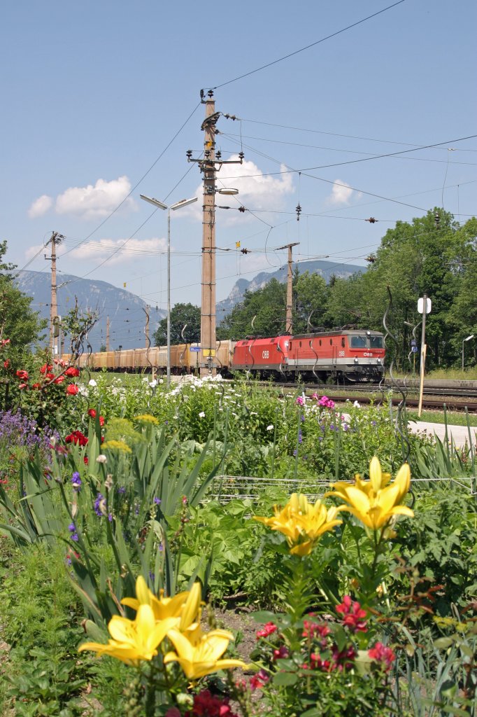 Der wunderschne Blumengarten in Eichberg bietet bei G-53515 mit 1144.006+1116 eine wunderschne Umrahmung. 7.7.12