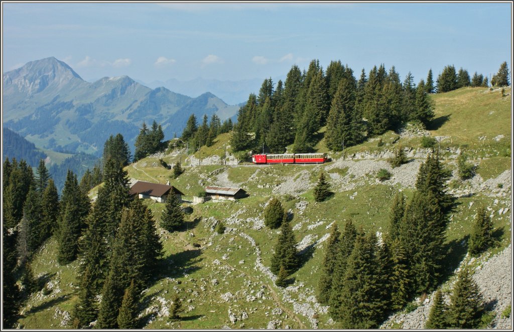 Der Zug 642 fhrt am Grtli vorbei talab.
(10.09.2012)