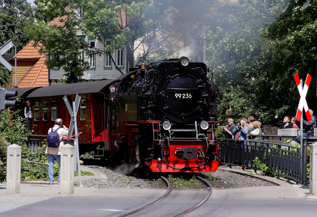 Dicht umlagert von zahlreichen  Jngern der Fotografengilde  faucht und stampft 99 236 mit ihrem Planzug zum Brocken am 09.06.2012, kurz nach Verlassen des Bahnhofes  Wernigerode-Westerntor  auf die Westerntor-Straenkreuzung im Zentrum der  Bunten Stadt am Harz ! Wenn dazu noch die Dampfpfeife und das Lutwerk der Lok ertnen und man die langen Schlangen der zwangsweise wartenden Autos an der sehr stark frequentierten Straenkreuzung sieht, ist wohl das  Non plus Ultra  eines jeden Bahnfans erreicht!! Viel mehr geht wirklich nicht! Das ist einfach  Gnsehaut  pur! Aber um das nachvollziehen zu knnen, mu man es einfach mal  live  erlebt haben! Jedem, der das noch nicht erlebt hat, kann ich es nur absolut empfehlen! Nicht nur, dass der Harz schon landschaftlich sehr sehenswert ist, dieses historische technische Highlight macht ihn auf jeden Fall einer Reise wert!