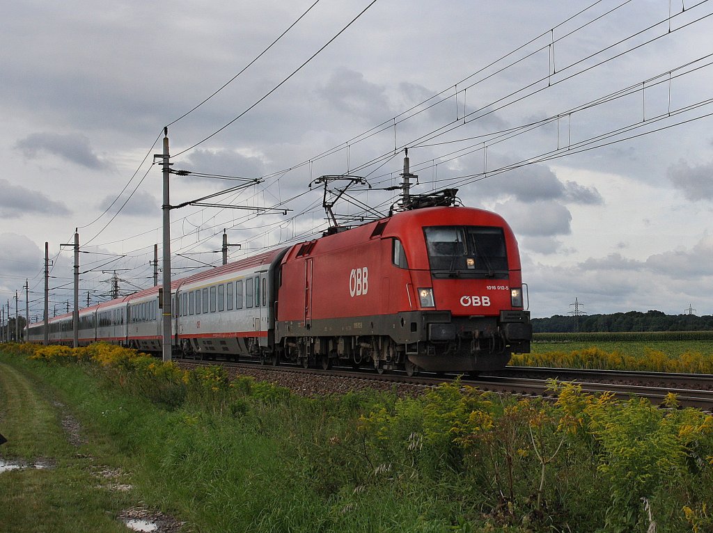 Die 1016 012 am 28.08.2010 mit einem OIC unterwegs bei Oftering. 