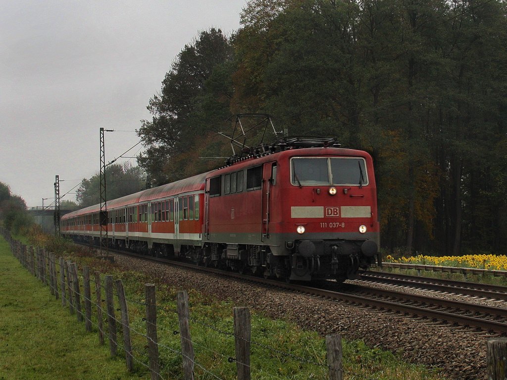 Die 111 037 am 14.10.2010 mit einem RE nach Salzburg unterwegs bei Grokarolinenfeld. (B Vogl)