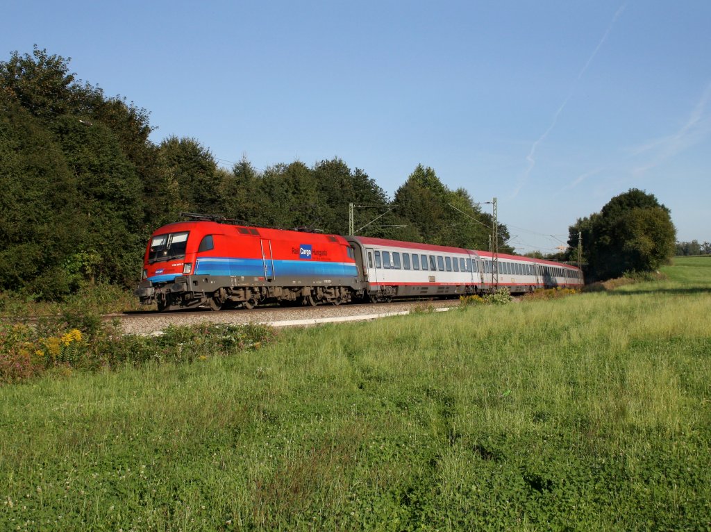 Die 1116 015 mit dem EC 111 am 03.09.2011 unterwegs bei Osterm�nchen. 