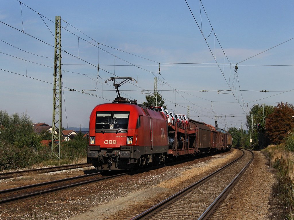 Die 1116 177 am 12.09.2010 mit einem Gterzug bei der Durchfahrt in Ostermnchen. 