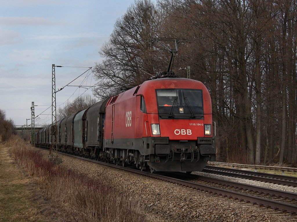 Die 1116 194 am 20.03.2010 mit einem Blechrollenzug unterwegs bei Grokarolinenfeld am B Vogel. 