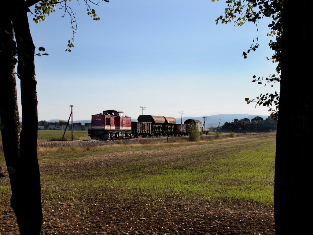 Die 112 708 am 16.10.2011 mit einem Fotogterzug unterwegs bei Petriroda .