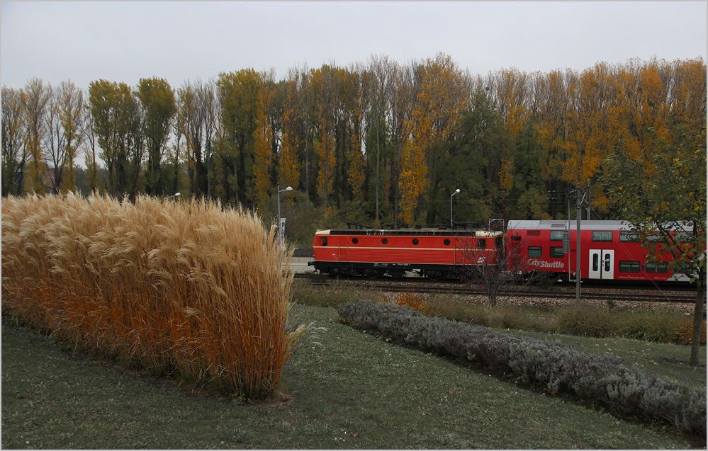 Die 1144 040 bespannte am 3. November 2012 REX 7123 und wurde dabei von mir im Klosterneuburger Stiftsgarten aufgenommen. 