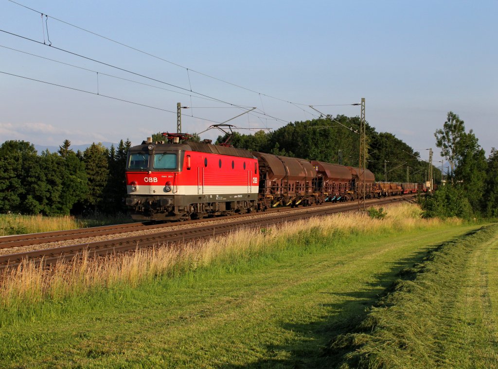 Die 1144 201 mit einem Gterzug am 23.06.2012 unterwegs bei Hilperting.