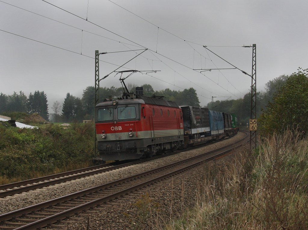 Die 1144 210 am 14.10.2010 mit einem KLV-Zug unterwegs bei Grokarolinenfeld. (B Vogl)