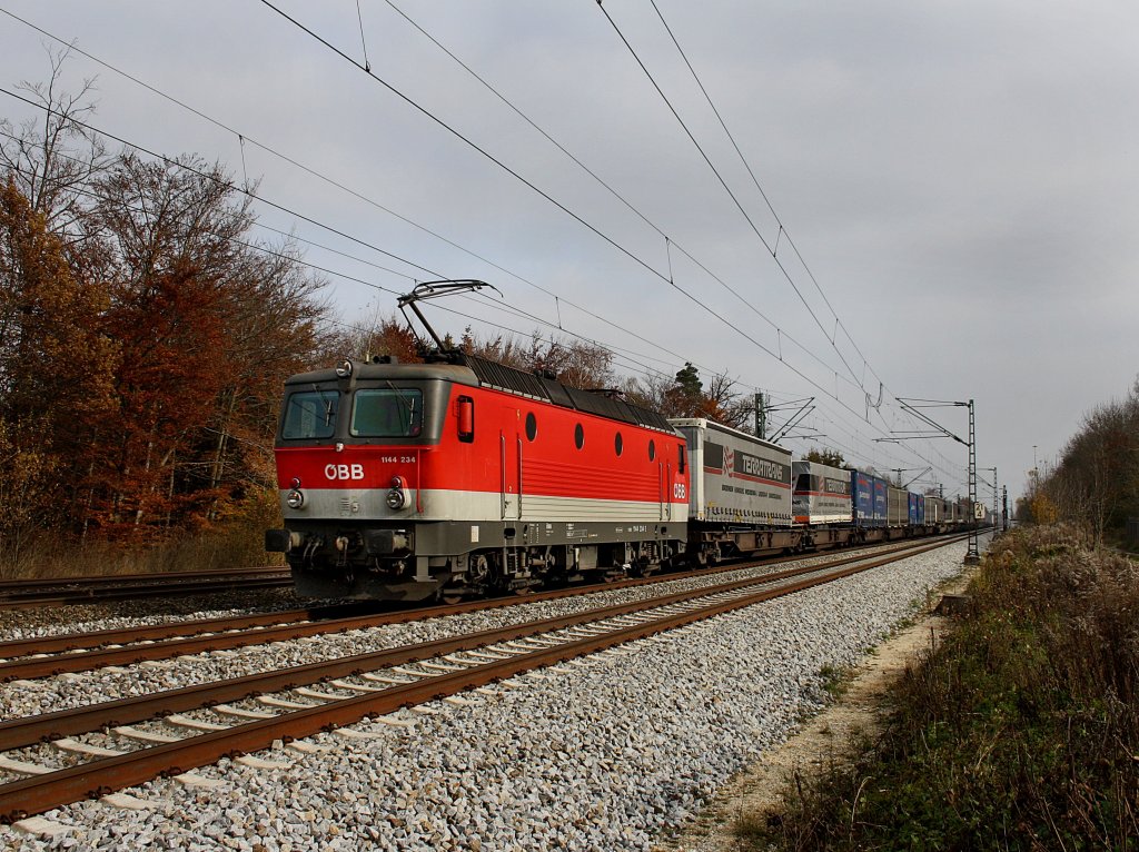 Die 1144 234 am 31.10.2009 mit einem KLV-Zug unterwegs bei Haar (Mnchen)