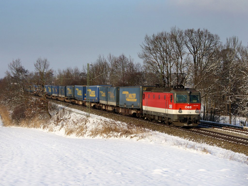 Die 1144 254 am 04.12.2010 mit dem LKW Walter KLV-Zug unterwegs bei Hilperting. 