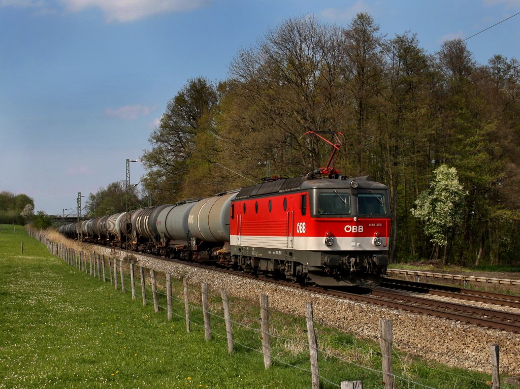 Die 1144 258 am 16.04.2011 mit einem Kesselwagenzug unterwegs bei Gro�karolinenfeld (B� Vogl).