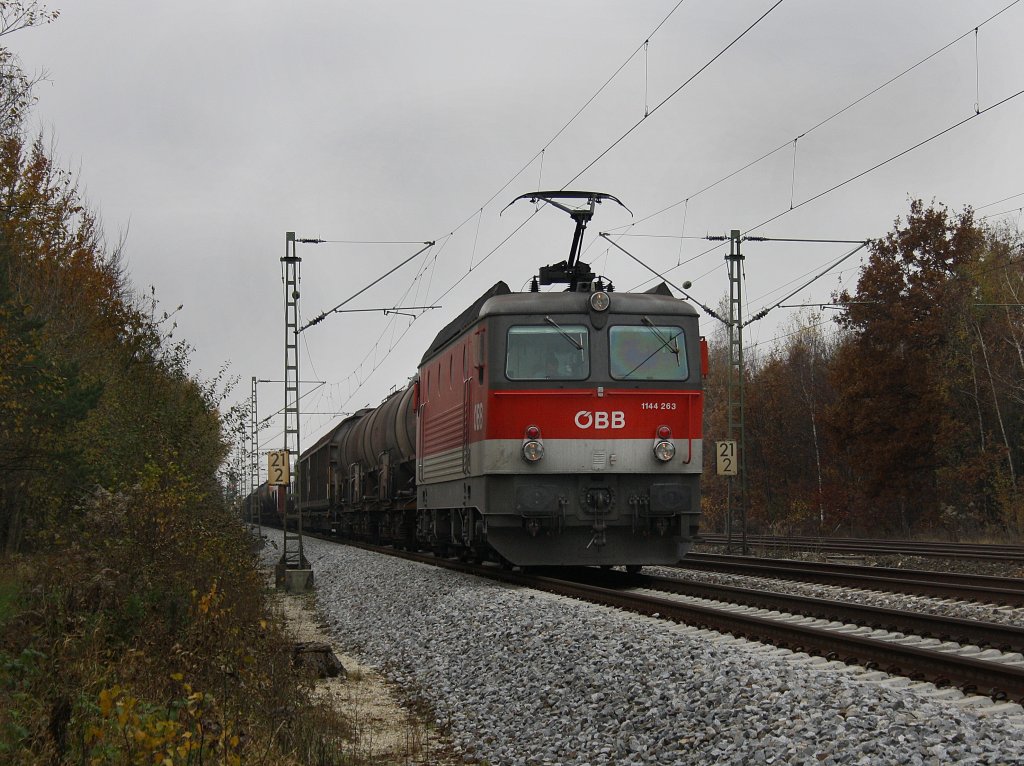 Die 1144 263 am 31.10.2009 mit einem Gemischteng�terzug unterwegs bei Haar. (M�nchen)