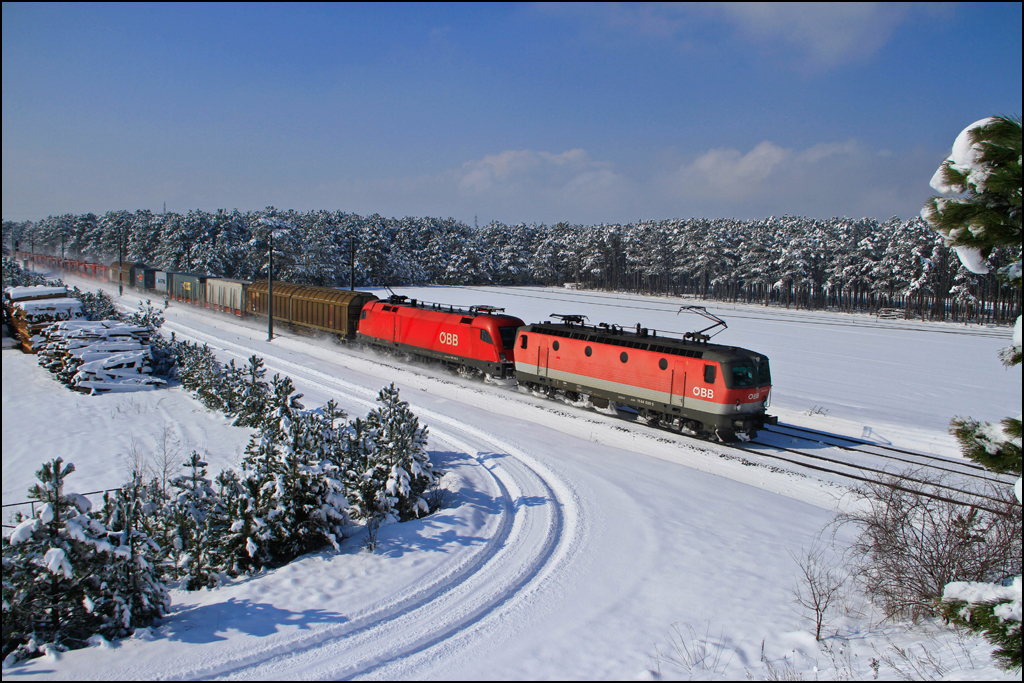 Die 1144.039 und 1116.116 bringen am 23.02.13 gemeinsam einen Gterzug durch den verschneiten Fhrenwald Richtung Wr.Neustadt.
